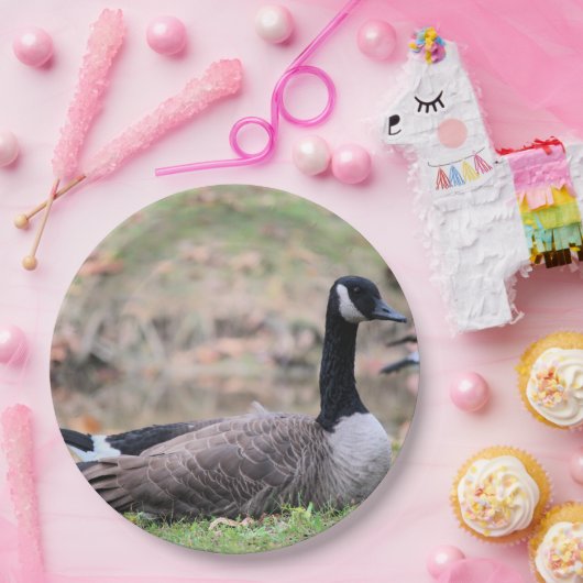 Goose Papieren Bordje (Feest)