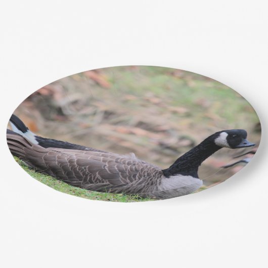 Goose Papieren Bordje (Gekanteld)