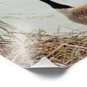 Goose Photo Foto Afdruk (Hoek)