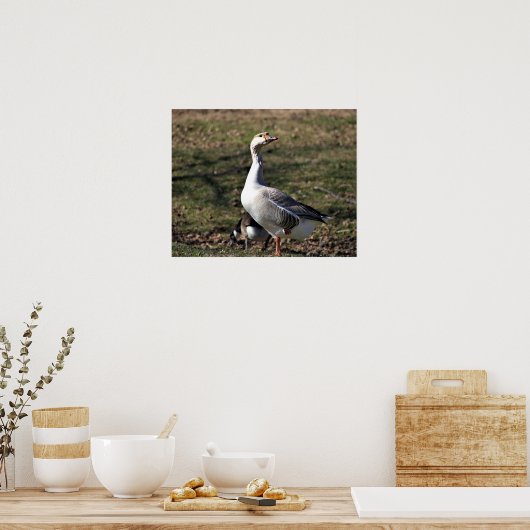 Goose Photo Poster (Keuken)
