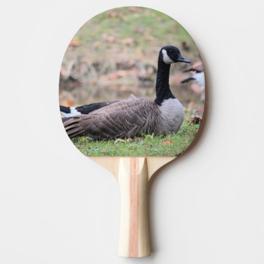 Goose Ping Pong Paddle Tafeltennisbatje (Voorkant)