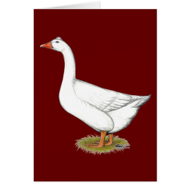 Goose Roman Tufted (Voorkant)