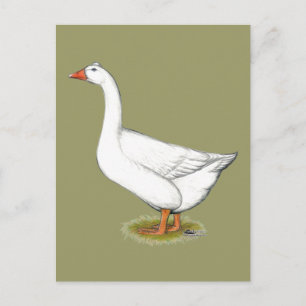 Goose Roman Tufted Briefkaart