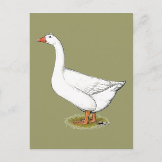 Goose Roman Tufted Briefkaart (Voorkant)
