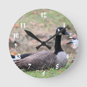 Goose Ronde Klok