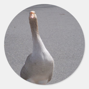 Goose! Ronde Sticker