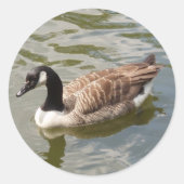 Goose Stickers (Voorkant)