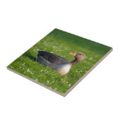 Goose Tegeltje (Zijkant)