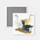 Goose Trio Magneet (Voorkant / Achterkant)