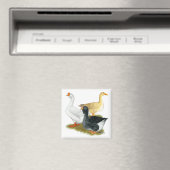 Goose Trio Magneet (Insitu (Vaatwasser))