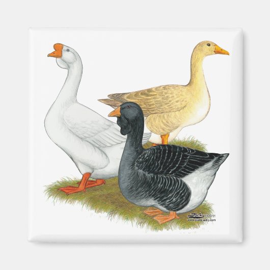 Goose Trio Magneet (Voorkant)
