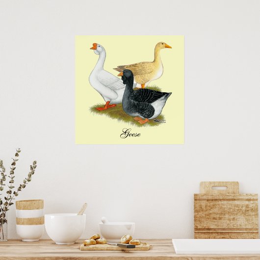 Goose Trio Poster (Keuken)