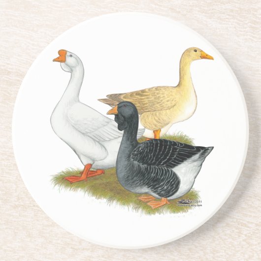 Goose Trio Zandsteen Onderzetter (Voorkant)