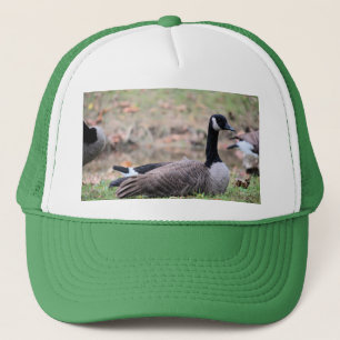 Goose Trucker Pet