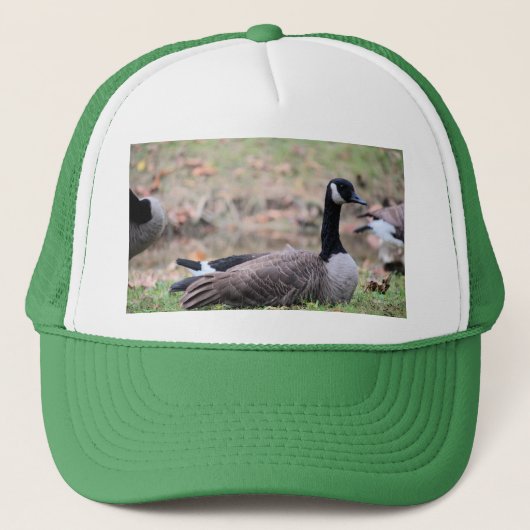 Goose Trucker Pet (Voorkant)