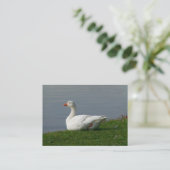 Goose Visitekaartje (Staand voorkant)