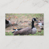 Goose Visitekaartje (Achterkant)