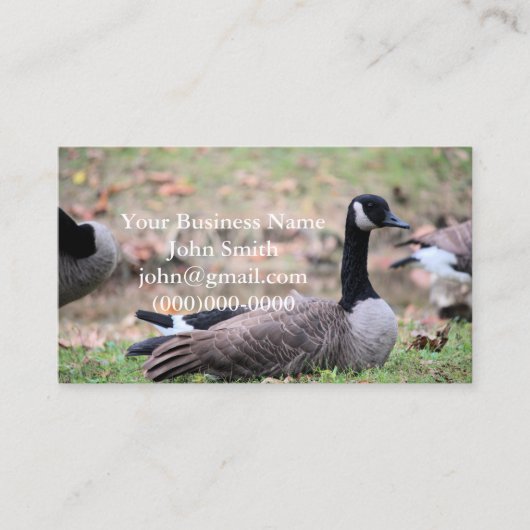Goose Visitekaartje (Voorkant)