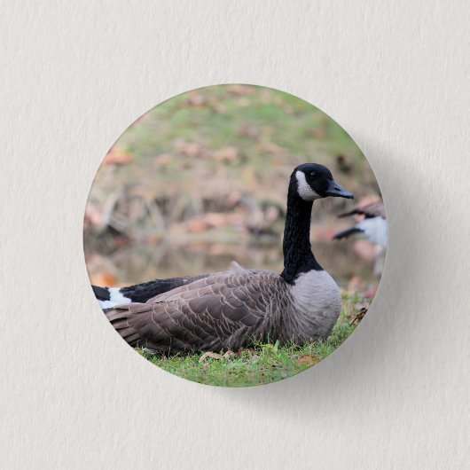 Goose vrachtwagenhoed ronde button 3,2 cm (Voorkant)