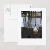 Goose Walk Briefkaart (Voorkant / Achterkant)
