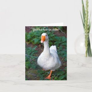 Goose Wenskaart Bedankkaart