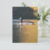 Goose Wildlife Foto Kaart (Staand voorkant)