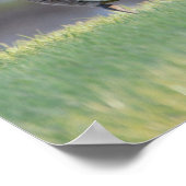 Goose with Babies Photo Poster (Hoek)