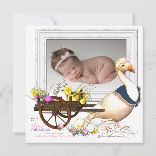 Goose with Eggs Foto Birth Announance Kaart (Voorkant)