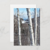 Gooseberry Herfsten gebied - North Shore Minnesota Bedankkaart (Voorkant / Achterkant)