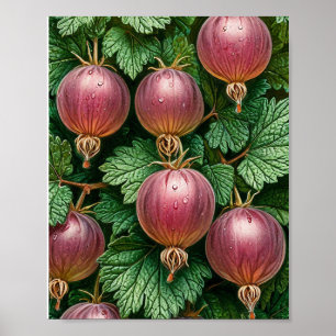 Gooseberry natuur kunst poster