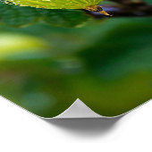 Gooseberry natuur kunst poster (Hoek)