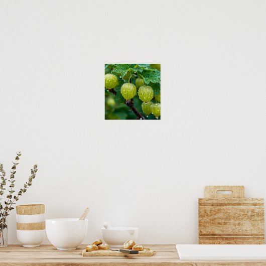 Gooseberry natuur kunst poster (Keuken)