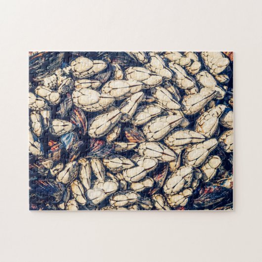 Gooseneck barnacles & mossels, BC Westkust Legpuzzel (Horizontaal)