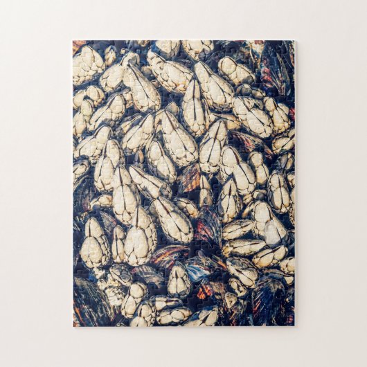 Gooseneck barnacles & mossels, BC Westkust Legpuzzel (Verticaal)