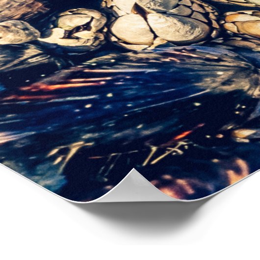 Gooseneck Barnacles & Mussels, Westkust Canada Poster (Hoek)