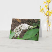 Gooseneck Loosestrife Kaart (Gele Bloem)