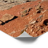 Goosenecks Poster (Hoek)