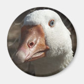 Goosey goosey magneet (Voorkant)