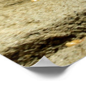 Gopher_005 Poster (Hoek)