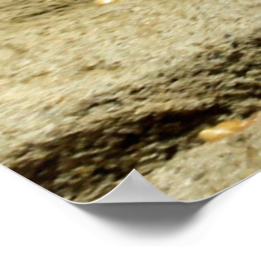 Gopher_005 Poster (Hoek)