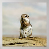 Gopher_005 Poster (Voorkant)