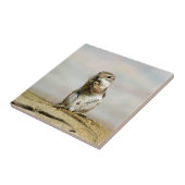 Gopher_005 Tegeltje (Zijkant)