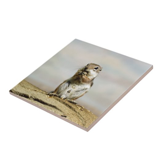 Gopher_005 Tegeltje (Zijkant)