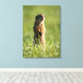 Gopher Canvas Afdruk (Insitu (Houten vloer))