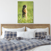 Gopher Canvas Afdruk (Insitu (Slaapkamer))