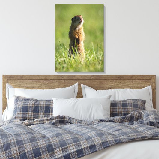 Gopher Canvas Afdruk (Insitu (Slaapkamer))