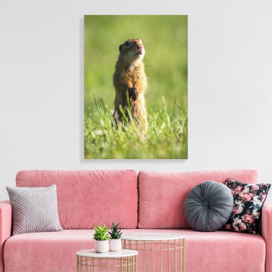 Gopher Canvas Afdruk (Insitu (Woonkamer))