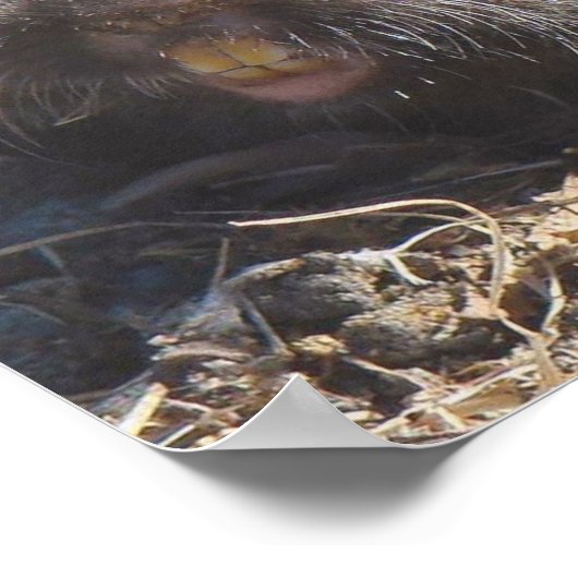 Gopher Poster (Hoek)