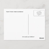 Gopher schildpad op de uitkijk briefkaart (Achterkant)