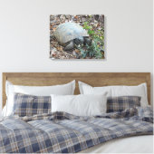 Gopher schildpad op Morning Stroll Canvas Afdruk (Insitu (Slaapkamer))